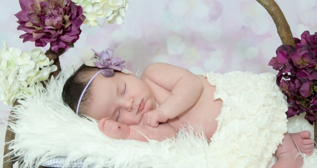 Anya, 7 days new