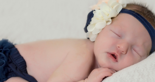 Palmer, 9 days new