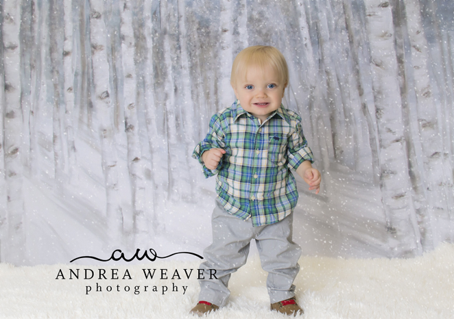 img_8089snow_web