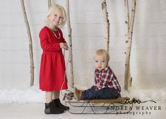 img_8187croppedsnow_web