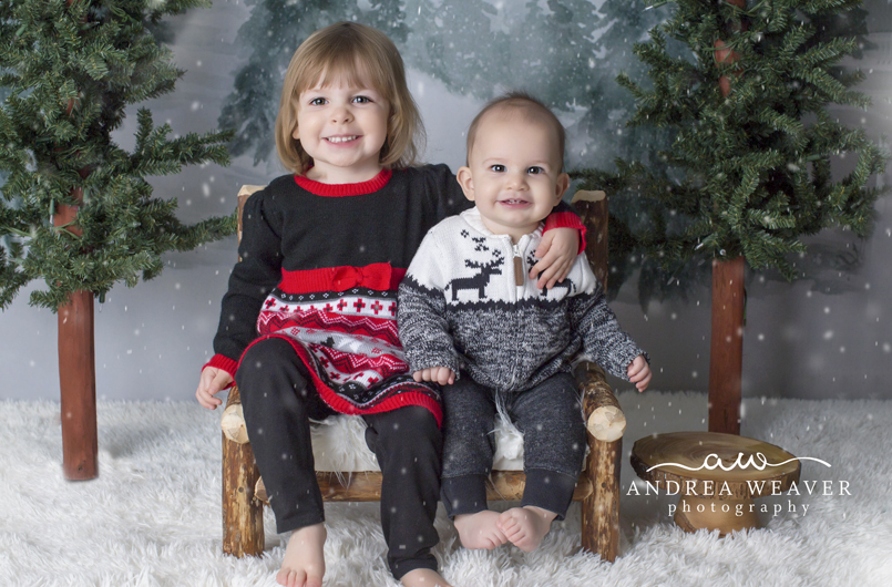 img_0463croppedsnow_web